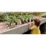 Spray odstraszający owady dla dzieci i dorosłych, 100ml / Linea MammaBaby