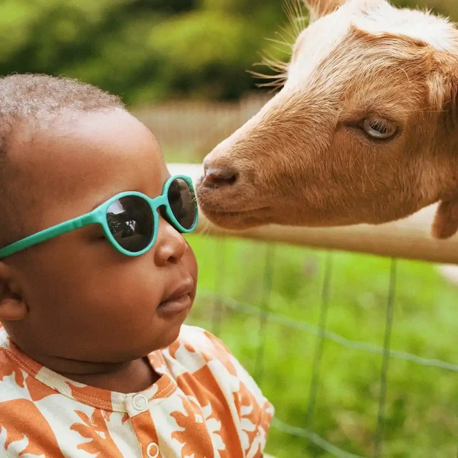 Okulary przeciwsłoneczne Wazz Lagoon / Kietla