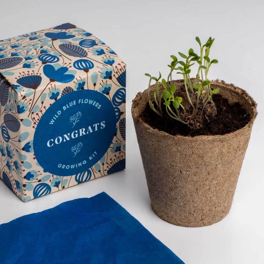 Zestaw prezentowy do sadzenia kwiatów Say it with Flowers - Congrats / Resetea