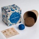 Zestaw prezentowy do sadzenia kwiatów Say it with Flowers - Congrats / Resetea