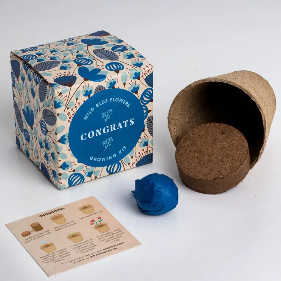 Zestaw prezentowy do sadzenia kwiatów Say it with Flowers - Congrats / Resetea