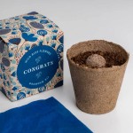 Zestaw prezentowy do sadzenia kwiatów Say it with Flowers - Congrats / Resetea