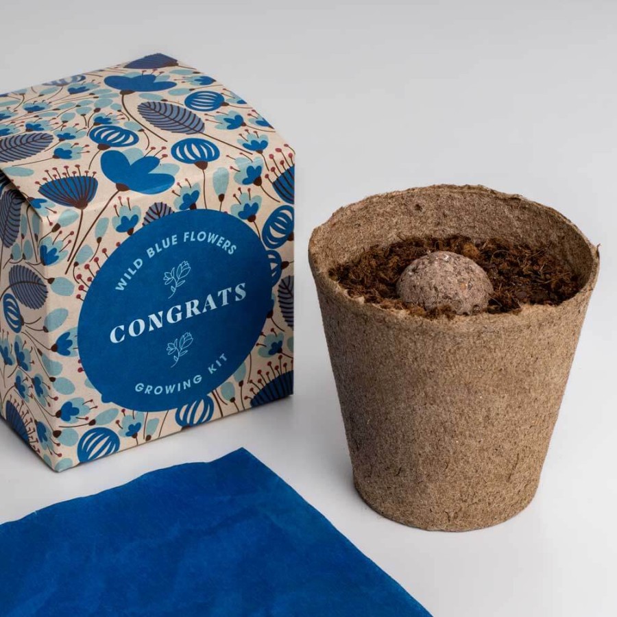 Zestaw prezentowy do sadzenia kwiatów Say it with Flowers - Congrats / Resetea