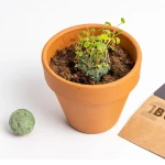 Bomby nasienne - Mediterranean Garden, 2szt. / Resetea