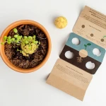 Bomby nasienne - Let’s Save the Bees, 2szt. / Resetea