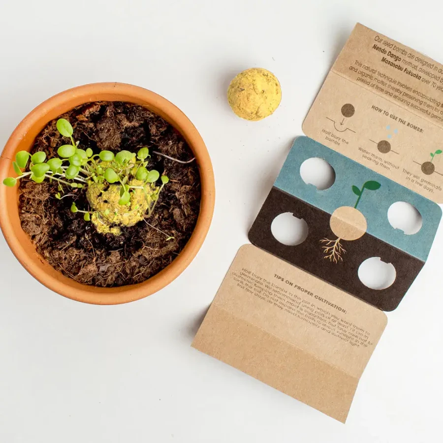 Bomby nasienne - Let’s Save the Bees, 2szt. / Resetea