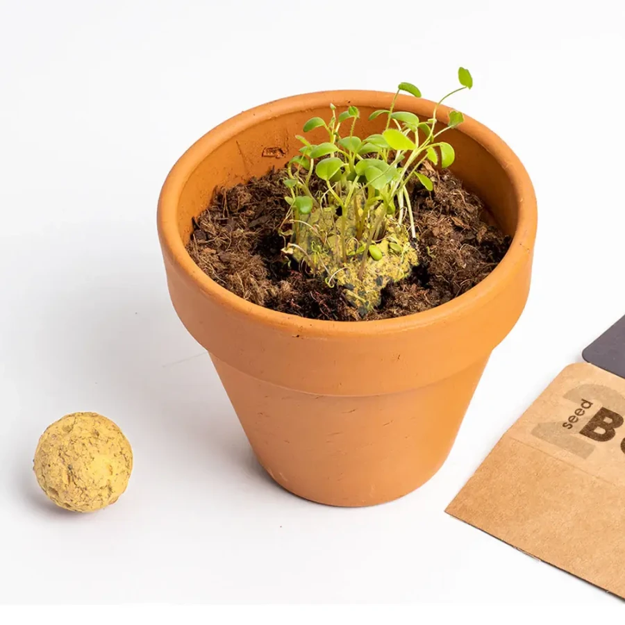 Bomby nasienne - Let’s Save the Bees, 2szt. / Resetea