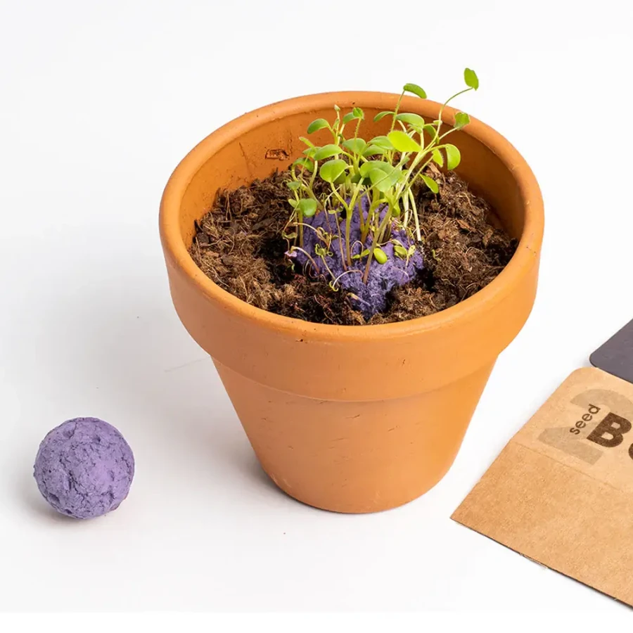 Bomby nasienne - Wild Purple Flowers, 2szt. / Resetea