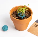 Bomby nasienne - Atlantic Garden, 2szt. / Resetea