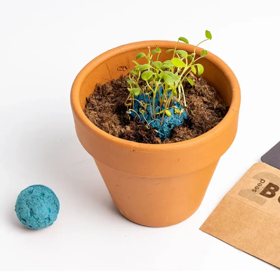 Bomby nasienne - Atlantic Garden, 2szt. / Resetea