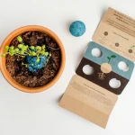 Bomby nasienne - Atlantic Garden, 2szt. / Resetea