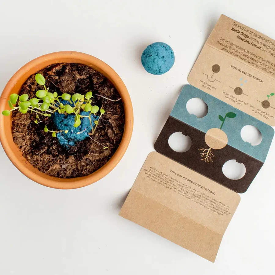 Bomby nasienne - Atlantic Garden, 2szt. / Resetea