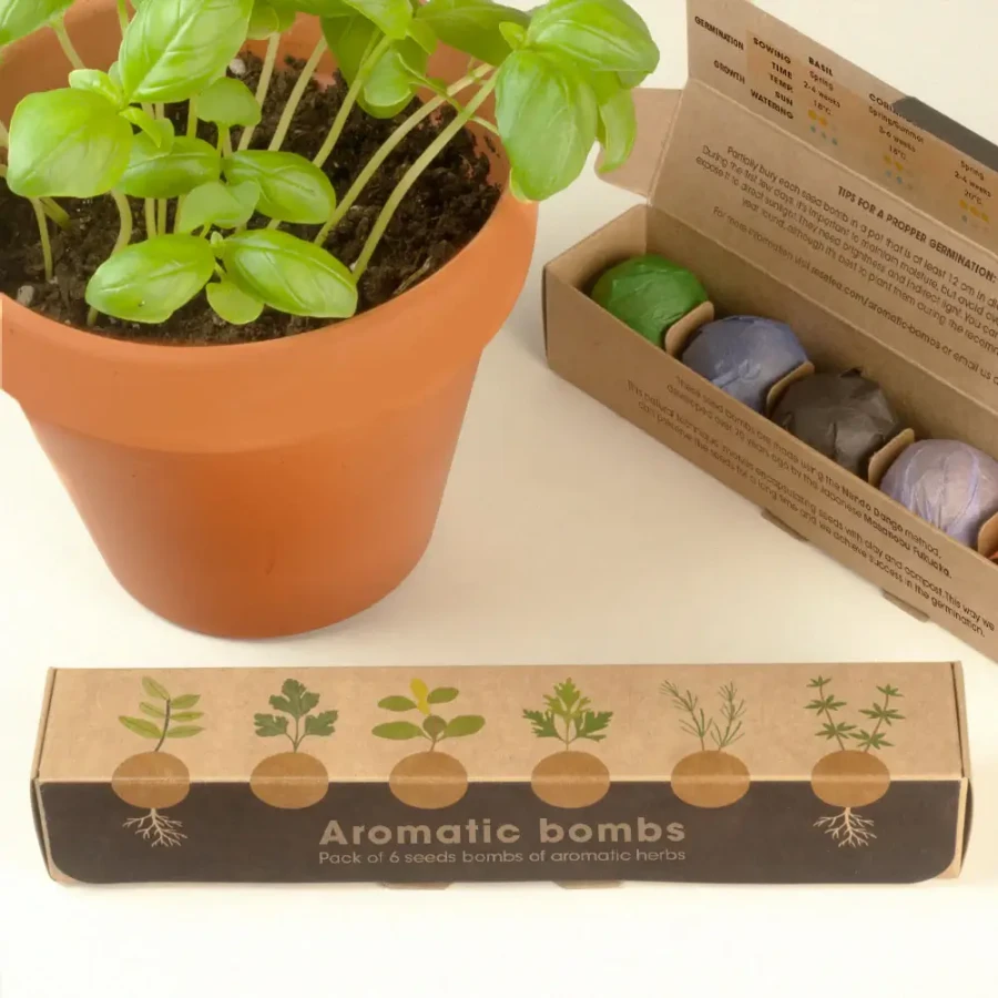 Zestaw 6 bomb nasiennych - zioła / Resetea