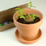 Zestaw 6 bomb nasiennych - zioła / Resetea