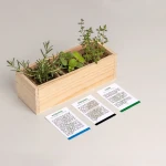 Mini ogród - Mediterranean / Resetea