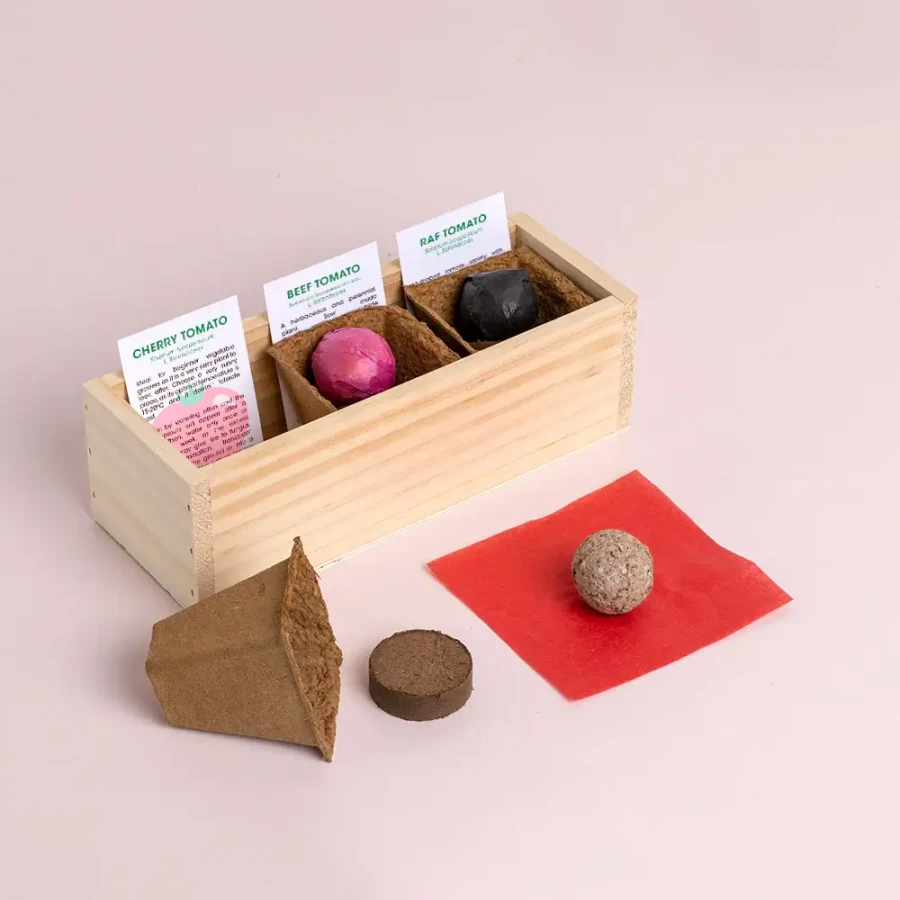 Mini ogród - Pomidory / Resetea