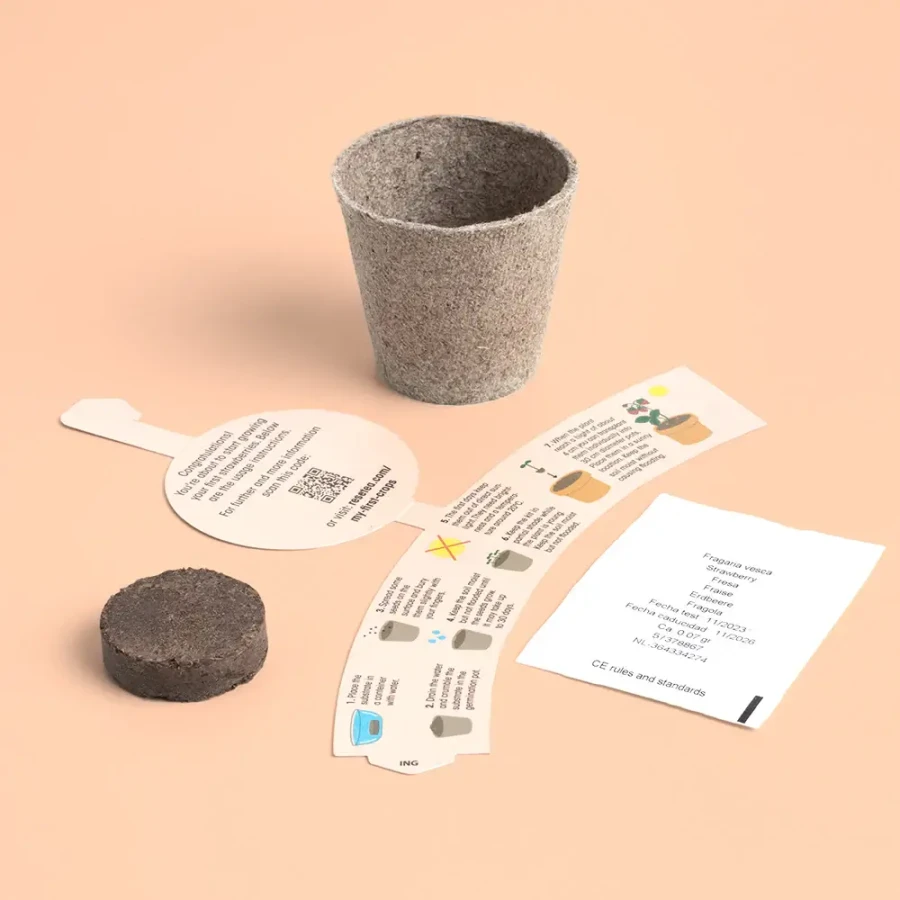 Mini doniczka - Truskawki / Resetea