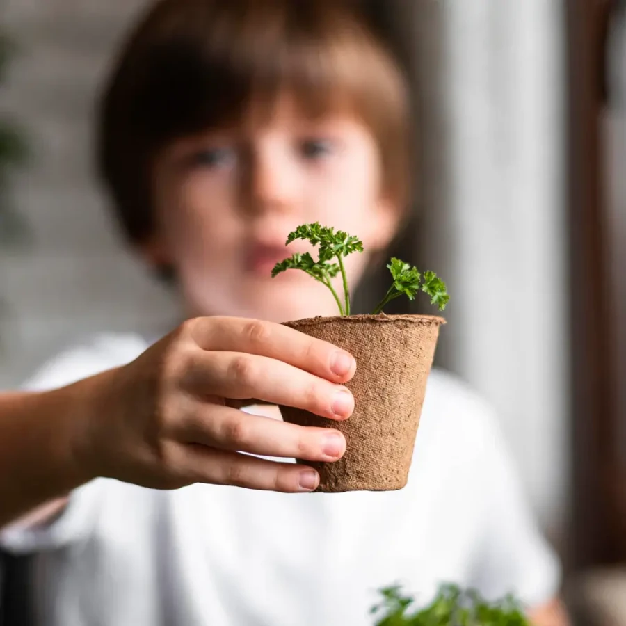 Mini doniczka - Kwiaty / Resetea