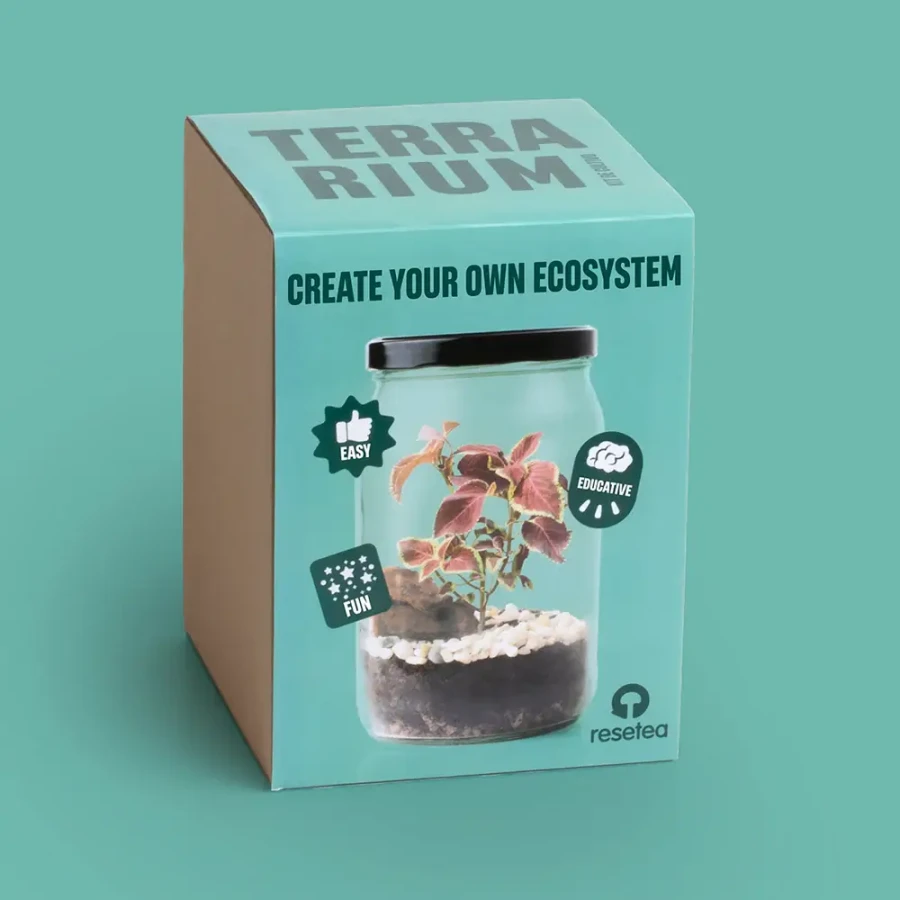 Terrarium w słoiku / Resetea