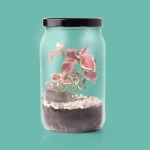 Terrarium w słoiku / Resetea