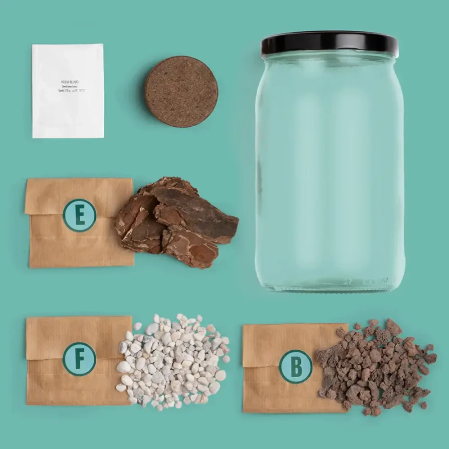 Terrarium w słoiku / Resetea