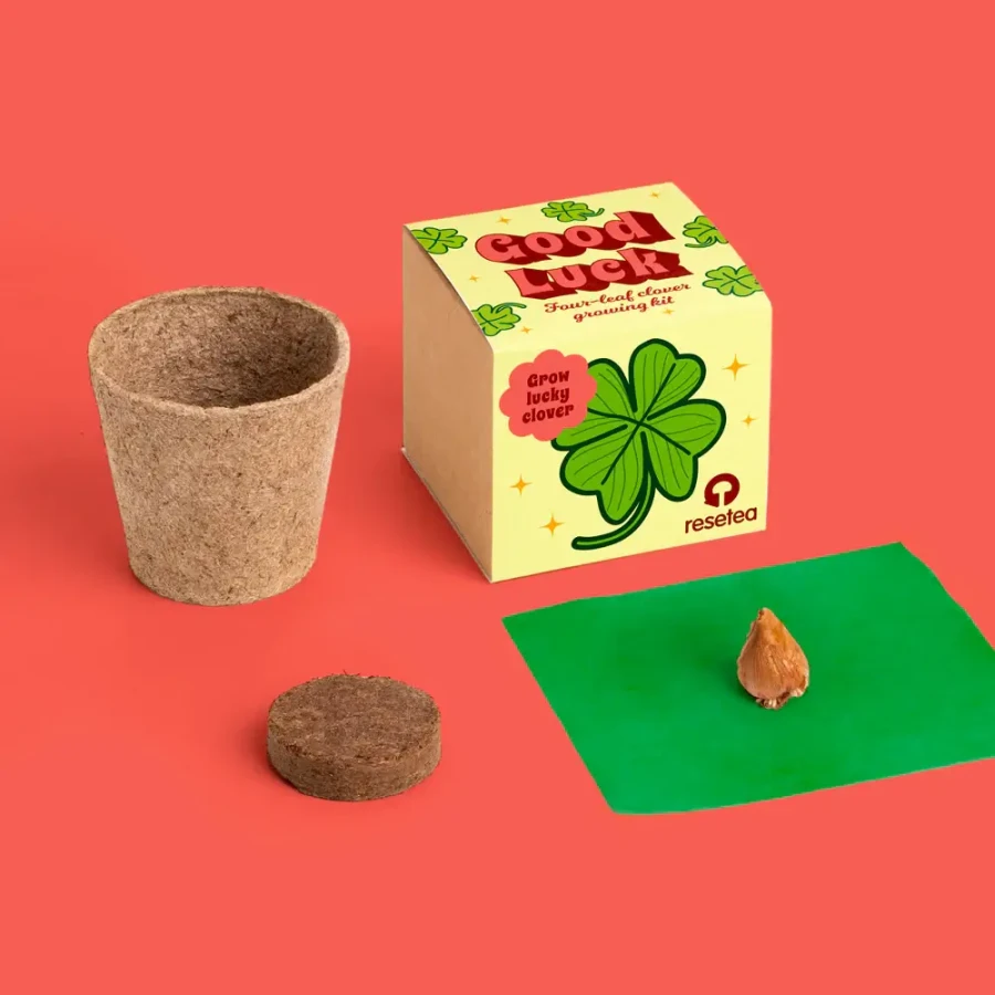 Zestaw do uprawy czterolistnej koniczyny - Good Luck / Resetea