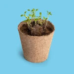 Zestaw do uprawy kwiatów - Save the Bees / Resetea