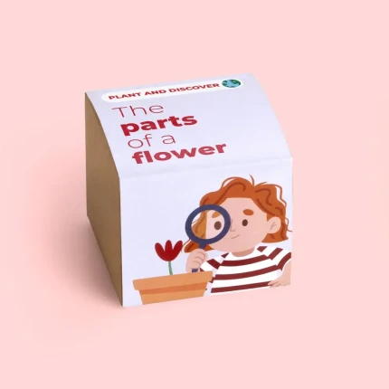 Sadź i odkrywaj - Części kwiatu / Resetea
