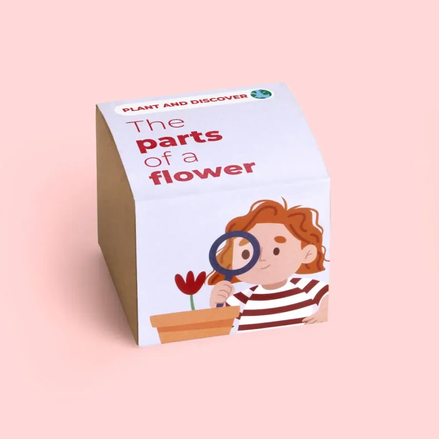 Sadź i odkrywaj - Części kwiatu / Resetea