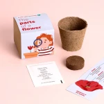 Sadź i odkrywaj - Części kwiatu / Resetea