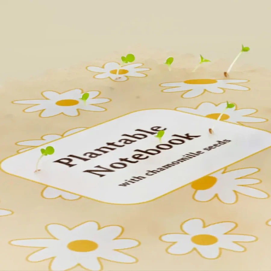 Notes do zasadzenia - rumianek / Resetea