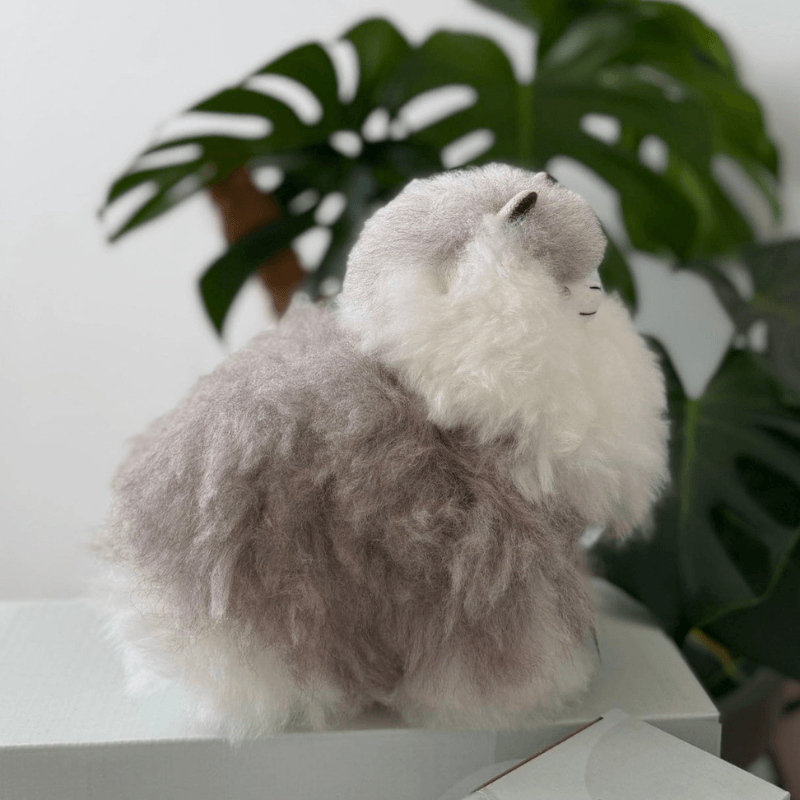 Maskotka Alpaka - Stone Glacier / Inkari