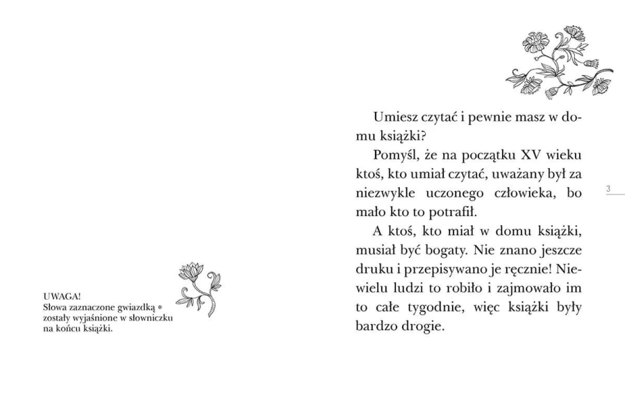 Tajemnica Nawojki. Czytam sobie. Poziom 3 / HarperKids