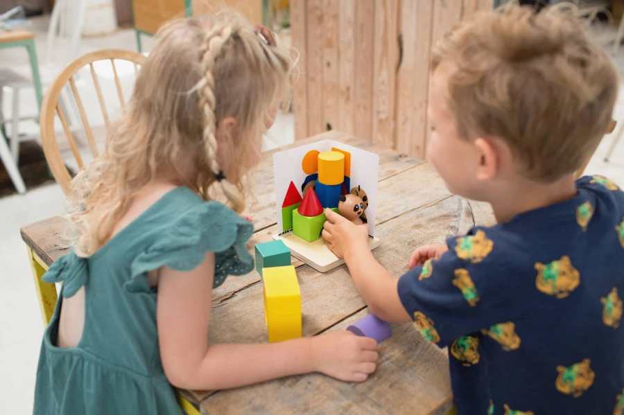 Łamigłówka 3D PANDA, drewniana gra edukacyjna / BS Toys