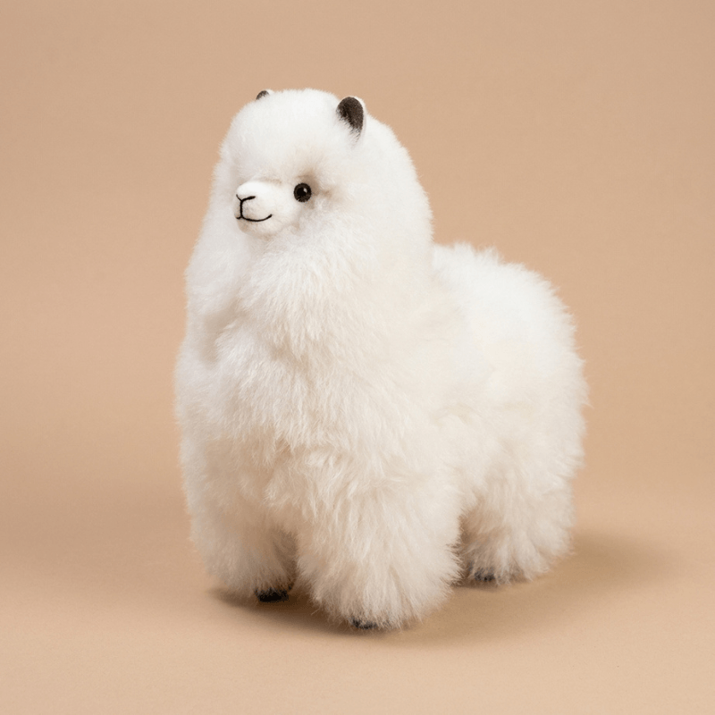 Maskotka Alpaka - Ivory White / Inkari