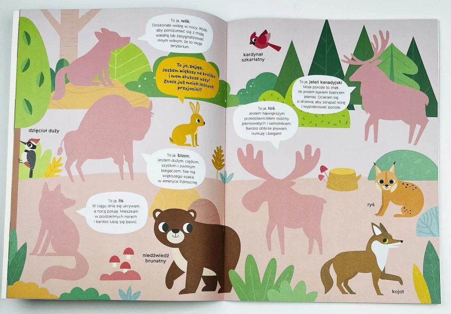 Przyklejam duże naklejki i się uczę. Zwierzęta świata / YOYO BOOKS