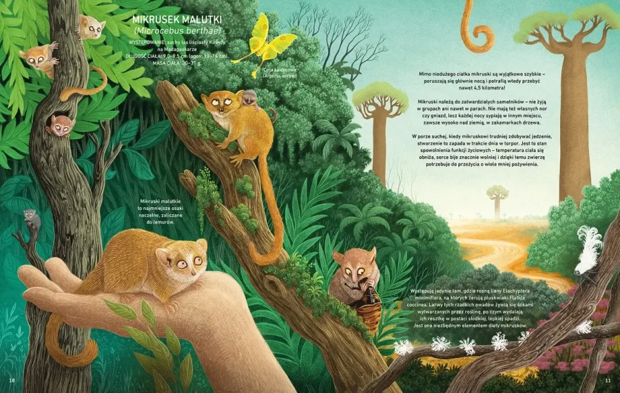 Minorki, czyli małe, mniejsze i najmniejsze zwierzęta świata / Wydawnictwo Kropka