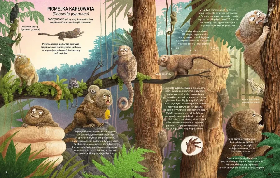 Minorki, czyli małe, mniejsze i najmniejsze zwierzęta świata / Wydawnictwo Kropka