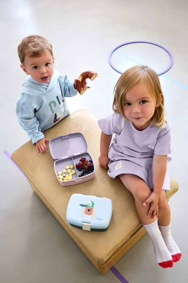 Lunchbox z wkładką Tiny Team - Cat / Lassig