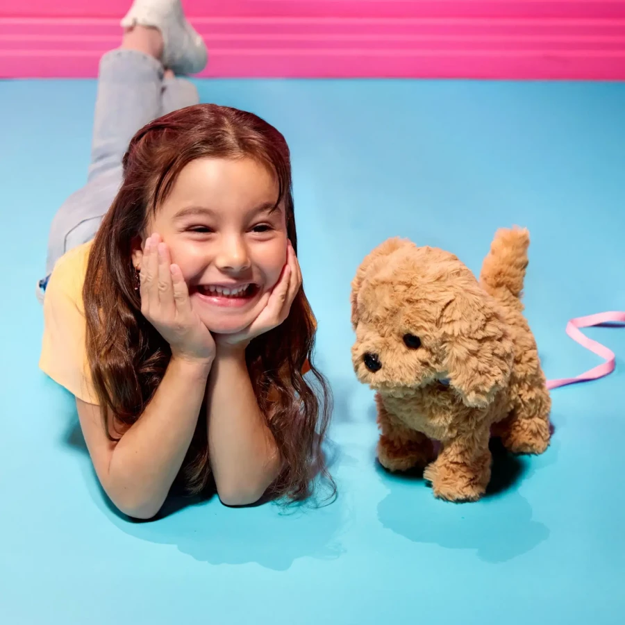 Interaktywny chodzący piesek z magnetyczną kostką i akcesoriami - Playful Paws Goldendoodle Pup / OurGeneration