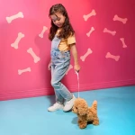 Interaktywny chodzący piesek z magnetyczną kostką i akcesoriami - Playful Paws Goldendoodle Pup / OurGeneration