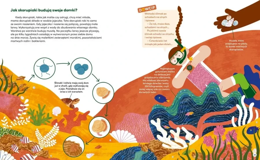 Ciekawostki i dowcipy dla supermózgów / Wydawnictwo Nasza Księgarnia