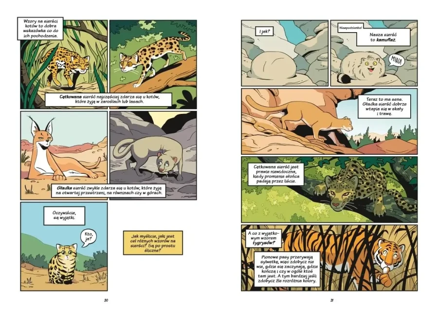 Koty - natura i wychowanie / Wydawnictwo Nasza Księgarnia