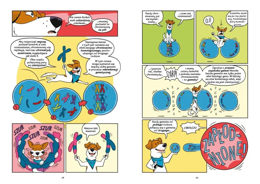 Psy - od drapieżników do obrońców / Wydawnictwo Nasza Księgarnia