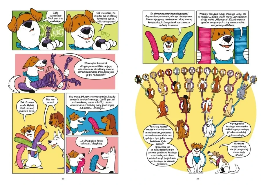 Psy - od drapieżników do obrońców / Wydawnictwo Nasza Księgarnia