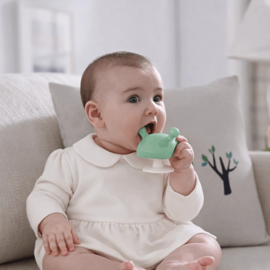 Gryzak Uspokajający GRZYBEK Mushroom Eucalyptus / Mombella