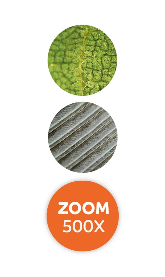 Mikroskop video powiększenie 500x / Buki