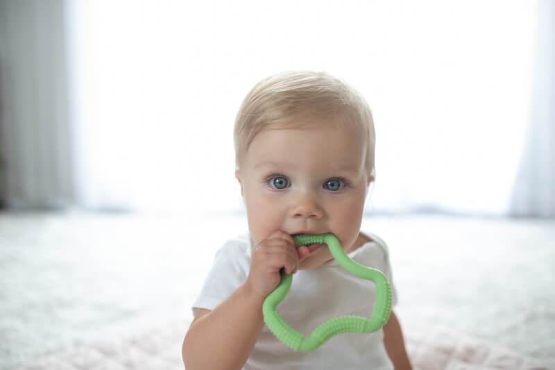 Gryzak Flexees zielony / Dr Brown's