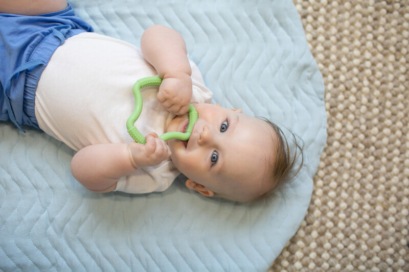 Gryzak Flexees zielony / Dr Brown's