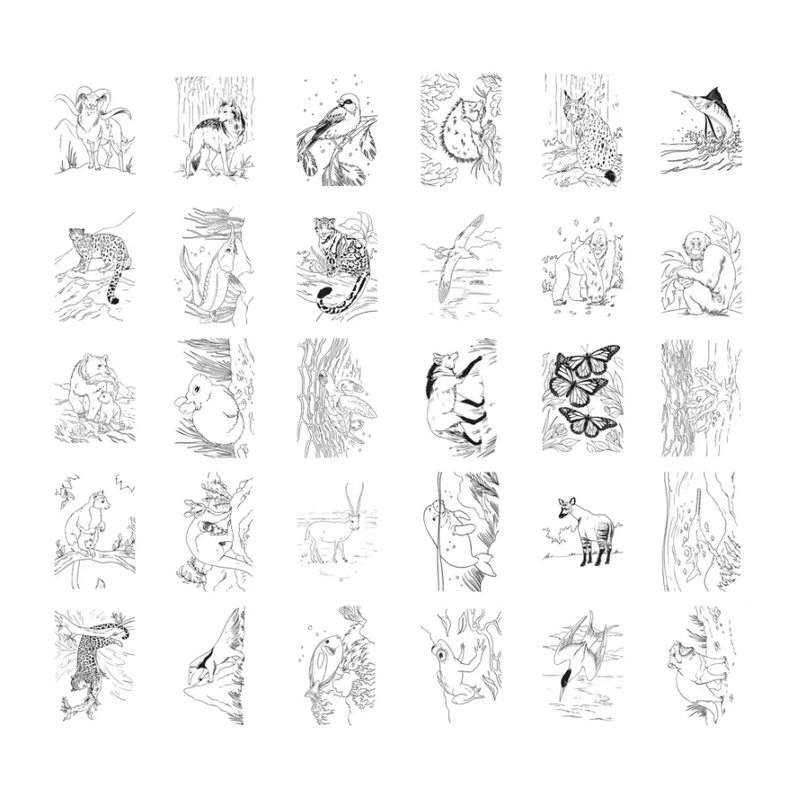 Tablet graficzny z szablonami do rysowania KIDYDRAW-PAD - Animals / Kidywolf